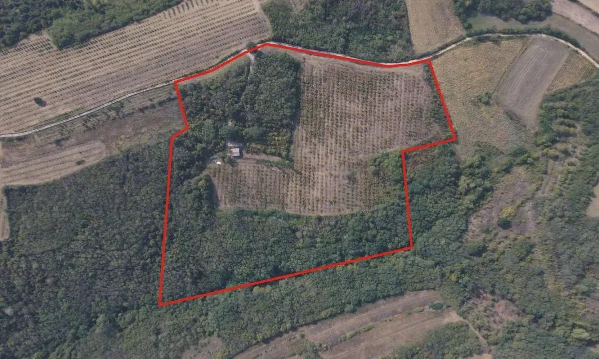 Prodaja, plac, 649m², Donje Štiplje, Jagodina