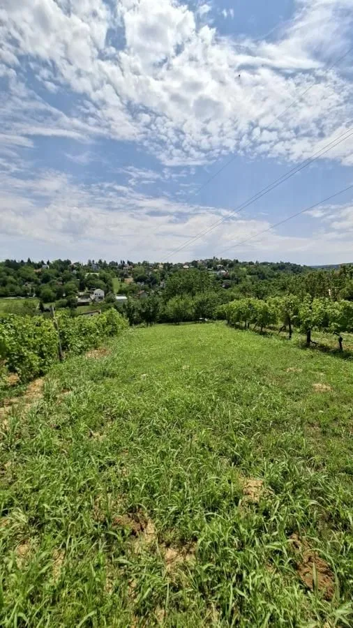 Prodaja, plac, 3000m², Bocke, Petrovaradin