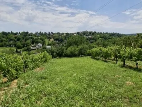 Prodaja, plac, 3000m², Bocke, Petrovaradin - image 18