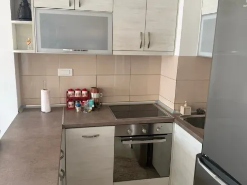 Izdavanje, jednosoban stan, 45m², Ljubović, Podgorica - image 4