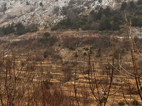 Prodaja, plac, 4899m², Budva, Crna Gora