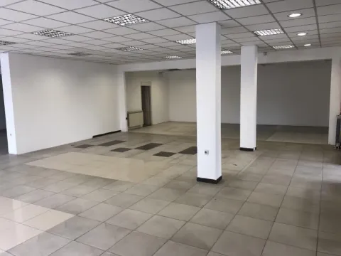 Izdavanje, poslovni prostor, 280m², Altina, Beograd - image 8