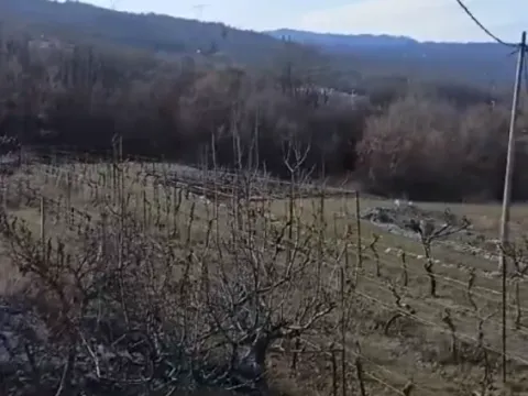 Prodaja, plac, 40000m², Podgorica, Crna Gora - image 1