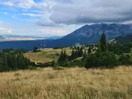 Prodaja, plac, 40000m², Žabljak, Crna Gora - image 6