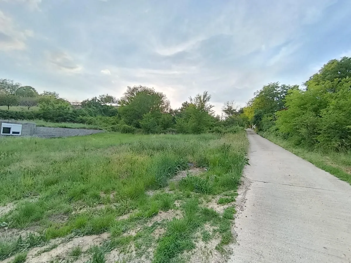 Prodaja, plac, 1000m², Alibegovac, Petrovaradin