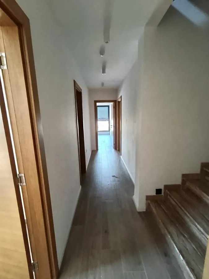 Rent, house, 230m², Sremska Kamenica, Petrovaradin