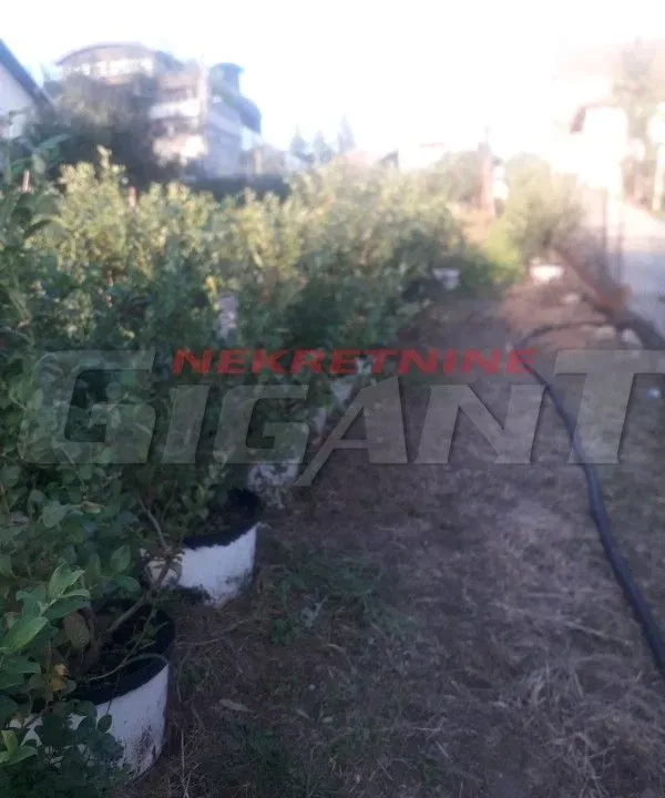 Sale, land lot, 600m², Miljakovac, Rakovica