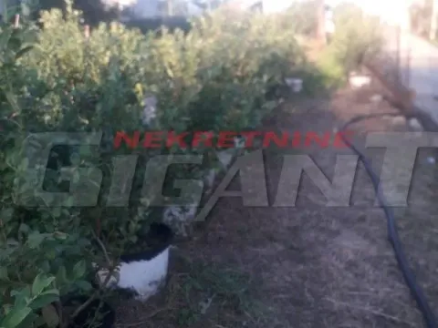 Prodaja, plac, 600m², Miljakovac, Rakovica