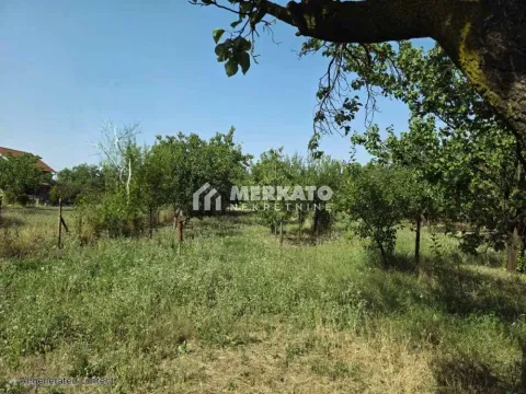 Sale, land lot, 3100m², Bagljaš, Zrenjanin - image 9