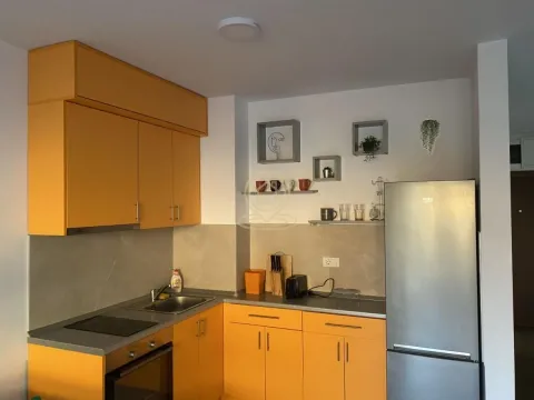 Izdavanje, dvosoban stan, 42m², Lekino Brdo, Voždovac Sve Podlokacije - image 3