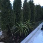 Sale, office space, 360m², Herceg Novi, Crna Gora - image 12