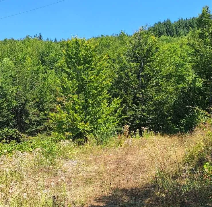 Sale, land lot, 500m², Kolašin, Crna Gora