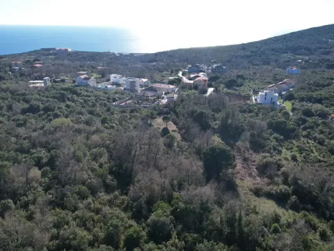 Prodaja, plac, 2450m², Krimovica, Kotor - image 14