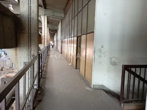 Izdavanje, poslovni prostor, 3700m², Trošarina, Voždovac Sve Podlokacije - image 3