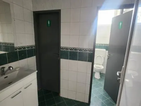 Izdavanje, poslovni prostor, 500m², Trošarina, Voždovac Sve Podlokacije - image 12