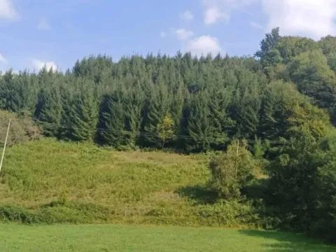 Prodaja, kuća, 80m², Solotuša, Bajina Bašta - image 6