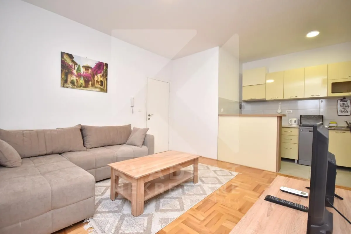 Izdavanje, dvosoban stan, 56m², Stari Aerodrom, Podgorica