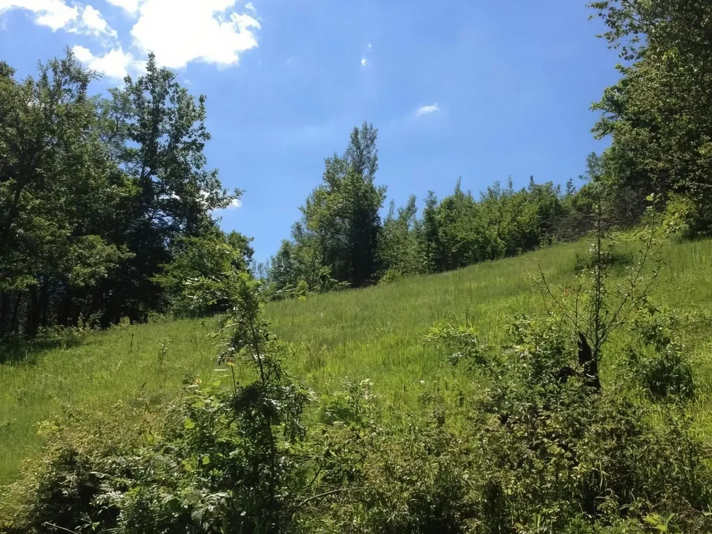 Prodaja, plac, 23425m², Plužine, Crna Gora