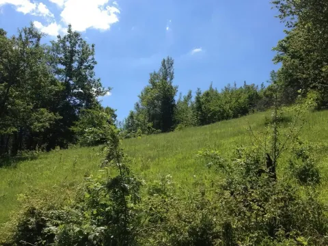 Prodaja, plac, 23425m², Plužine, Crna Gora - image 3