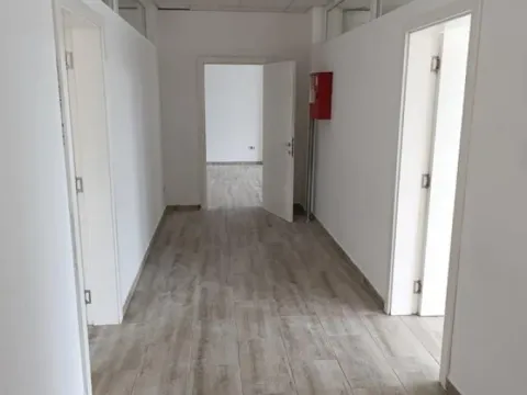 Izdavanje, poslovni prostor, 205m², Krnjaca, Palilula Sve Podlokacije - image 5