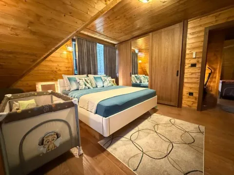 Prodaja, kuća, 270m², Petrovaradin, Novi Sad - image 61