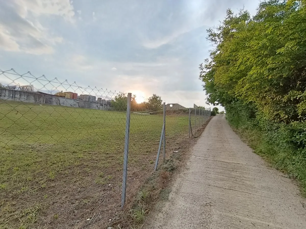 Prodaja, plac, 1000m², Alibegovac, Petrovaradin