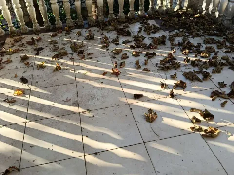 Sale, house, 100m², Kunje, Bar - image 3