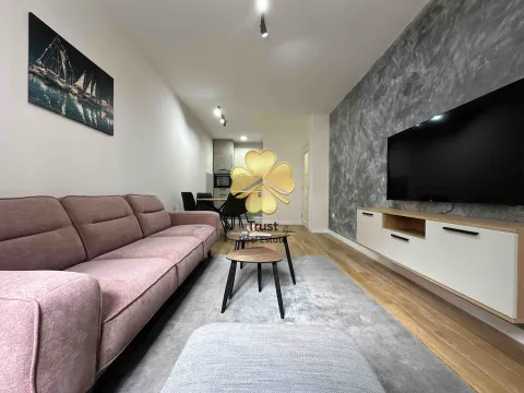 Izdavanje, jednosoban stan, 50m², Central Point, Podgorica - image 3