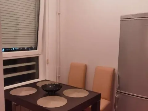 Izdavanje, dvosoban stan, 52m², Novi Beograd Blok 67, Novi Beograd Sve Podlokacije - image 2