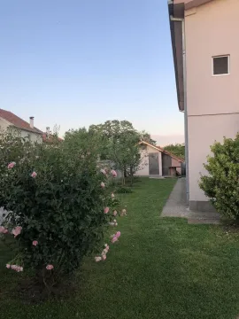 Rent, house, 300m², Donji Kokoti, Podgorica - image 10