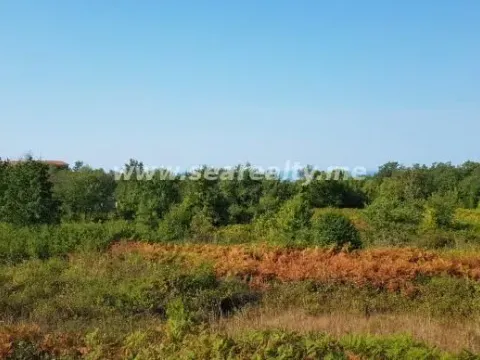 Prodaja, plac, 6400m², Krimovica, Kotor - image 5