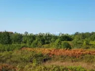 Sale, land lot, 6400m², Krimovica, Kotor - image 5