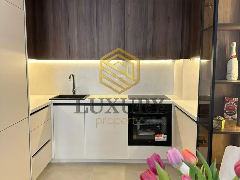 Rent, one bedroom apartment, 45m², Zabjelo, Podgorica - image 5