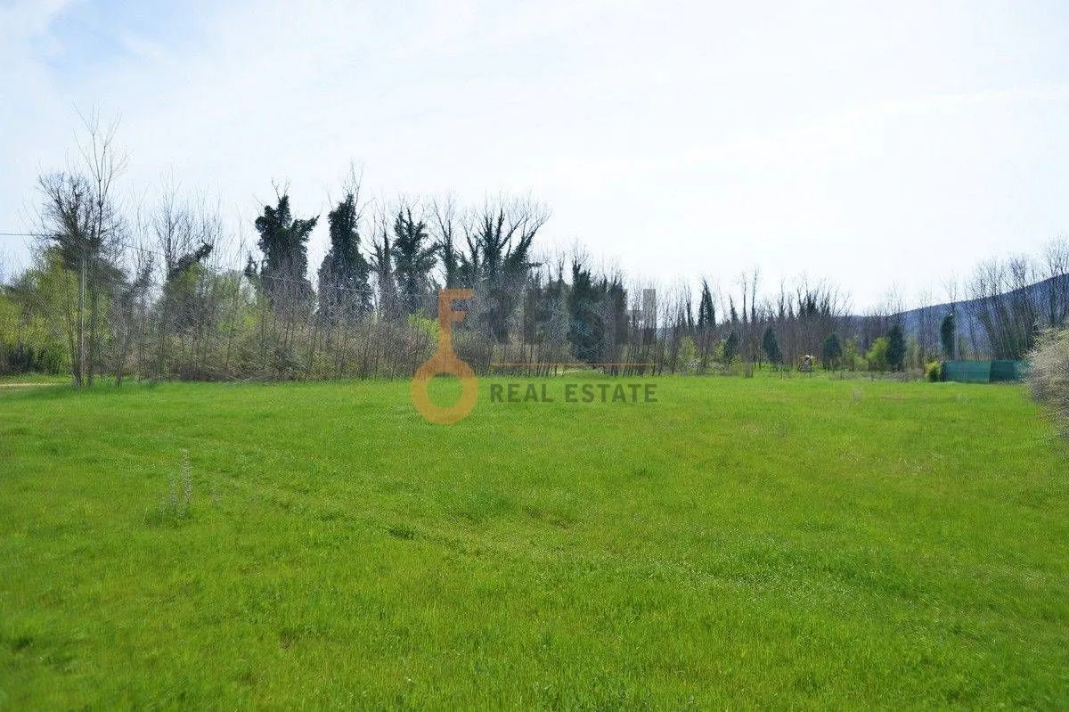 Prodaja, plac, 7628m², Danilovgrad, Crna Gora