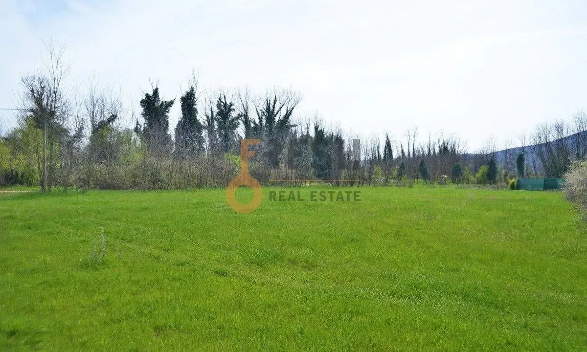 Prodaja, plac, 7628m², Danilovgrad, Crna Gora