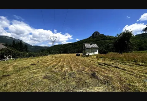 Prodaja, plac, 33750m², Rovačko Trebaljevo, Kolašin - image 4