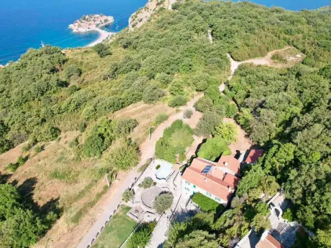 Sale, land lot, 7000m², Blizikuće, Budva