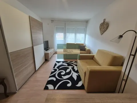 Izdavanje, jednosoban stan, 42m², Tabane, Jagodina - image 1