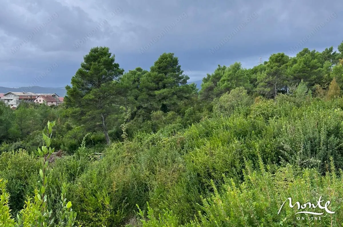Prodaja, plac, 1219m², Tivat, Crna Gora