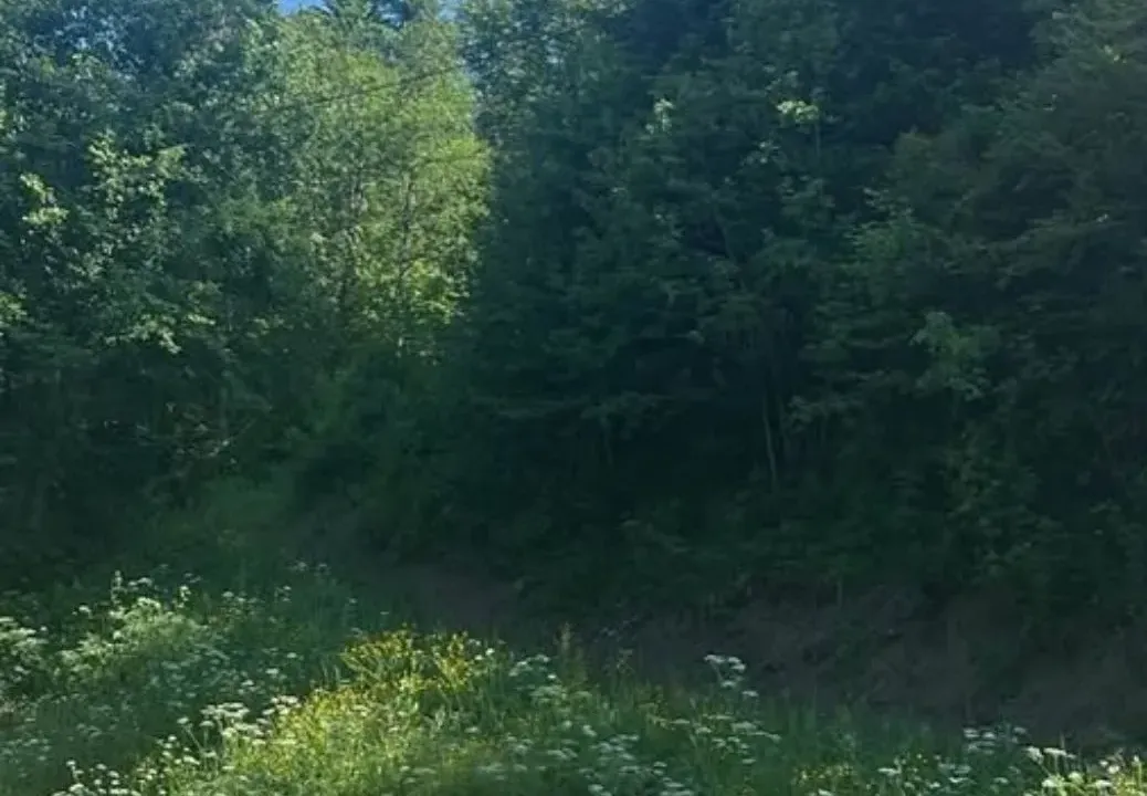 Prodaja, plac, 62500m², Kolašin, Crna Gora