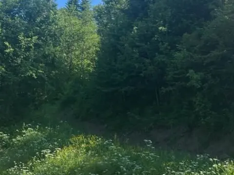 Prodaja, plac, 62500m², Kolašin, Crna Gora