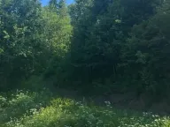 Prodaja, plac, 62500m², Kolašin, Crna Gora - image 1