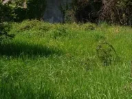 Prodaja, plac, 1500m², Zaljevo, Bar - image 2