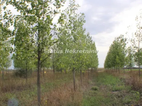 Prodaja, plac, 210m², Zrenjanin, Srbija - image 2