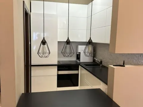 Izdavanje, dvosoban stan, 49m², Bulevar Oslobodjenja, Novi Sad Sve Podlokacije - image 7