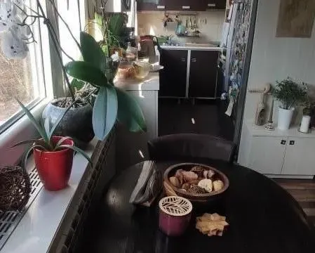 Prodaja, dvosoban stan, 50m², Bežanija, Beograd - image 5