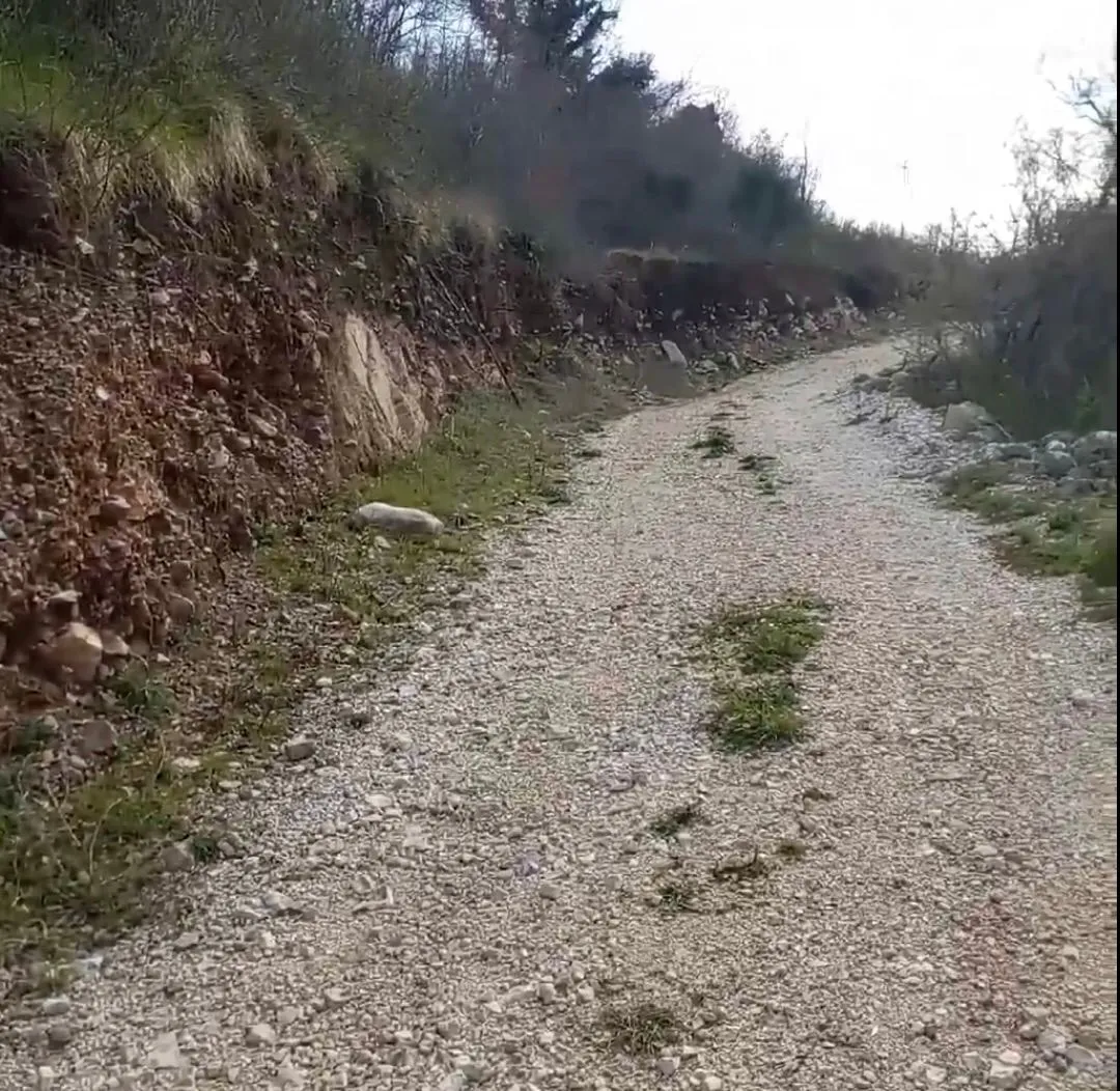 Prodaja, plac, 21000m², Bar, Crna Gora