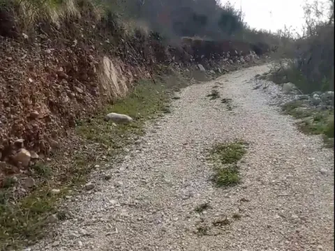 Prodaja, plac, 21000m², Bar, Crna Gora - image 2