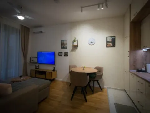 Izdavanje, jednosoban stan, 40m², Tološi, Podgorica - image 10