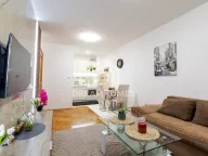 Izdavanje, jednosoban stan, 45m², Stari Aerodrom, Podgorica - image 2